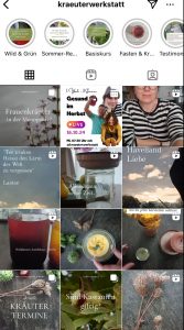 Insta Live mit tanjayogaberlin, gino_bewegt-dich und Susanne Hackel von der Kräuterwerkstatt Potsdam
